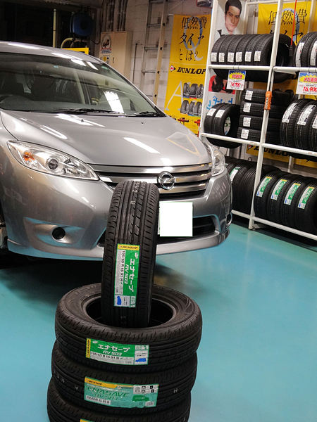 ���t�F�X�^�n�C�E�F�C�X�^�[��RV503